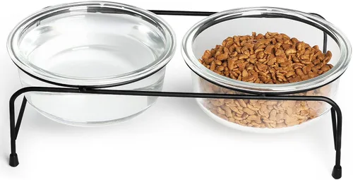GDCZ Soporte elevado para cuenco para gatos, soporte de metal de 11 pulgadas con 2 cuencos de vidrio extraíbles de 20 onzas para comida y agua de