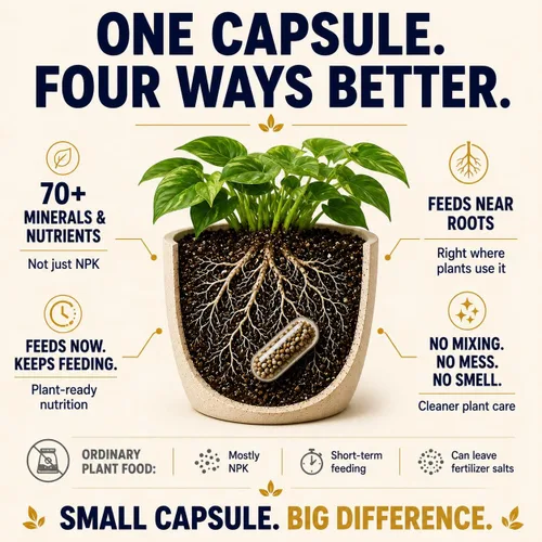 Miniatura 4 de Premium Alimento para plantas – Estacas de fertilizantes orgánicos – 100