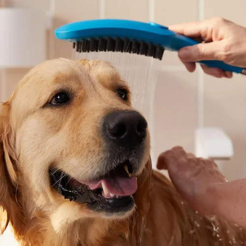 Miniatura 2 de hansgrohe Ducha para mascotas al aire libre con spray de 3 rociadores de conexión rápida, spray para piernas, spray para patas en el cielo, 04973540