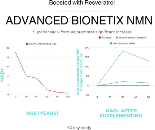 Miniatura 4 de Advanced Bionetix Cápsulas NMN Resveratrol Betaína (TMG) – NAD+ refuerzo de apoyo para energía celular, longevidad, salud metabólica vitalidad