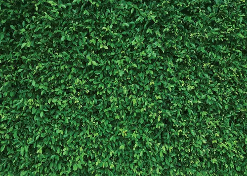Fondo de pared de césped, hojas verdes, césped, fiesta, fotografía, decoración vegetal, cumpleaños, baby shower, boda, 5 x 3 pies PCK39A