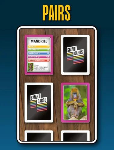 Miniatura 7 de SMART CARDS Animales Juego de cartas 7 juegos en 1 Snap, Rummy, pares y más Juego educativo de viaje A partir de 5 años, 1-8 jugadores