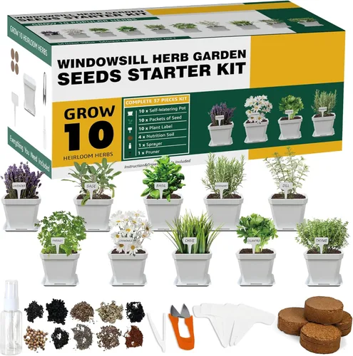 Kit de cultivo de hierbas, 10 semillas de hierbas, kit de iniciación de jardín, juego completo de cultivo de plantas en maceta que incluye macetas