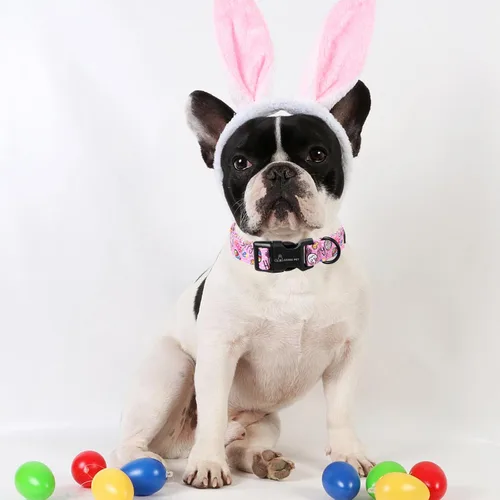 Miniatura 203 de Aring Pet Collar de algodón, lindo, con hebilla de liberación rápida, para bodas, para perros pequeños, medianos y grandes, rosa Terciopelo rosa