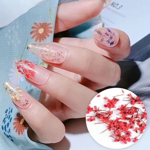 Miniatura 7 de 8 cajas de flores secas para uñas, mini flores de uñas reales 3D, flores secas, calcomanías de uñas, decoración de uñas, decoración de uñas, Flores