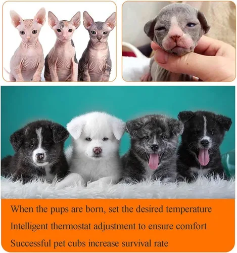 Miniatura 5 de Incubadora grande de mascotas para perros, incubadora de cachorros, incubadora de gatos para cachorros, temperatura constante inteligente