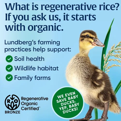 Miniatura 8 de Lundberg Arroz Integral de Grano Corto, Certificado Orgánico Regenerativo – Ligeramente a Nuez, Arroz Pegajoso Cultivado Responsablemente