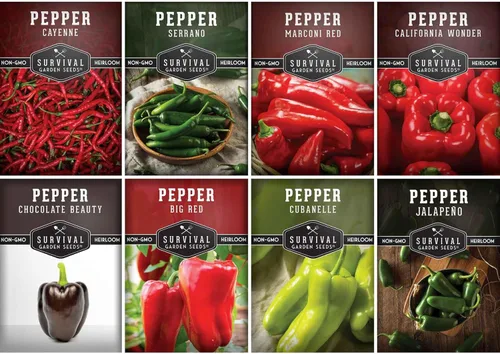 8 Colección de semillas de pimiento | Variedades autóctonas – Marconi, Chocolate Beauty, Cayenne y más | Semillas no transgénicas para plantar |