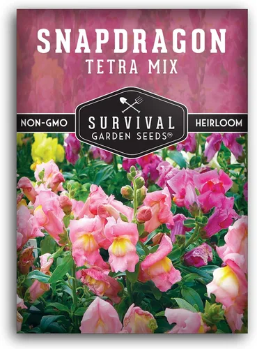 Survival Garden Seeds - Semillas de mezcla de tetra Snapdragon para plantar - Paquete con instrucciones para plantar y cultivar hermosas flores