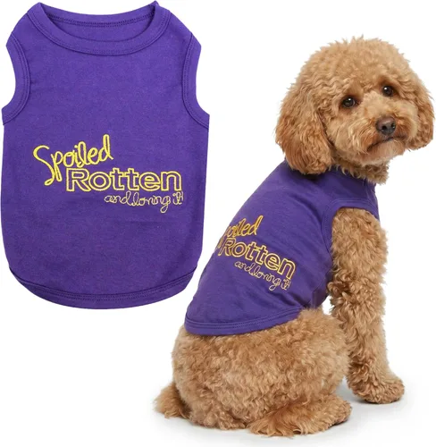 Miniatura 20 de Parisian Pet - Camiseta bordada para perros y gatos, con texto en inglés Sexy and I Know It, XS Sexy y lo sé