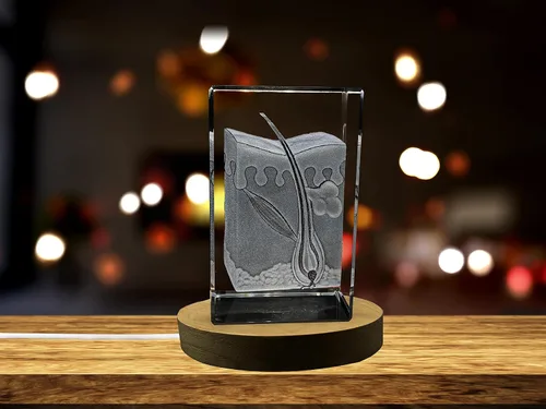 Miniatura 14 de Regalo para médicos 3D grabado en cristal recuerdo/regalo/decoración/(pequeño (3 x 2 x 2 pulgadas), arterias)
