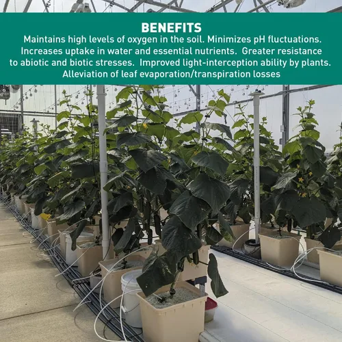 Miniatura 5 de EasyGo Product Harvest Hero Perlita con sílice para mezcla de tierra para macetas, esquejes de raíces, recipientes y cultivo hidropónico, grado