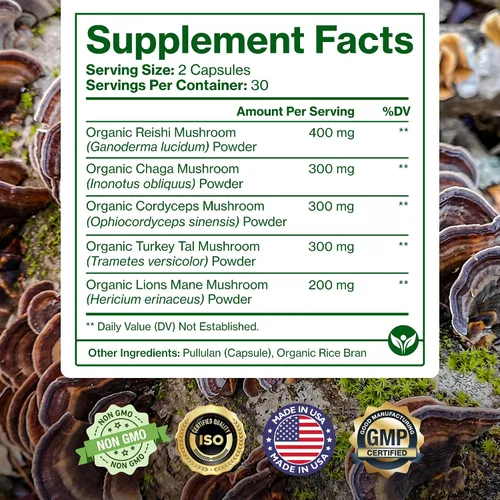 Miniatura 6 de Pure Micronutrients Suplemento orgánico de hongos – melena de león, reishi, chaga, cordyceps y complejo de cola de pavo – Apoyo inmunológico
