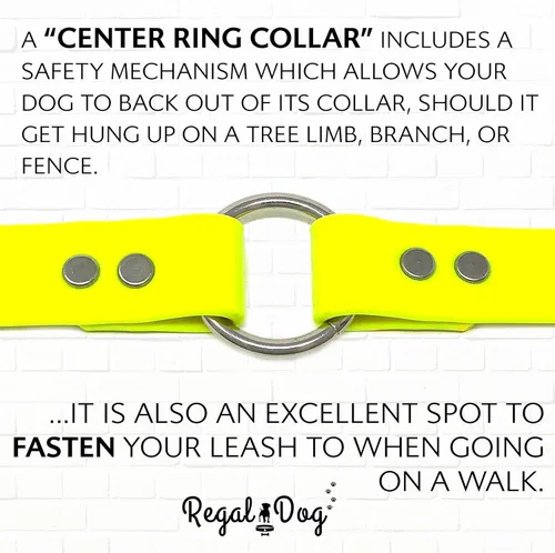 Miniatura 7 de Collar impermeable para perro con anillo central resistente Collar para perros pequeños, medianos, grandes o XL, Amarillo