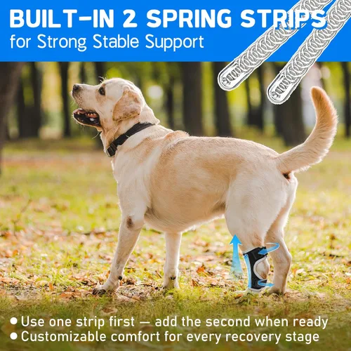 Miniatura 3 de Soporte para piernas de perro, soporte para piernas traseras caninas, alivia el dolor de esguinces, artritis, mejora la estabilidad, ayuda