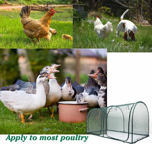 Miniatura 5 de Gallinero portátil para gallinero, casa de aves de corral, red de jardinería al aire libre, recinto fácil de instalar para animales pequeños