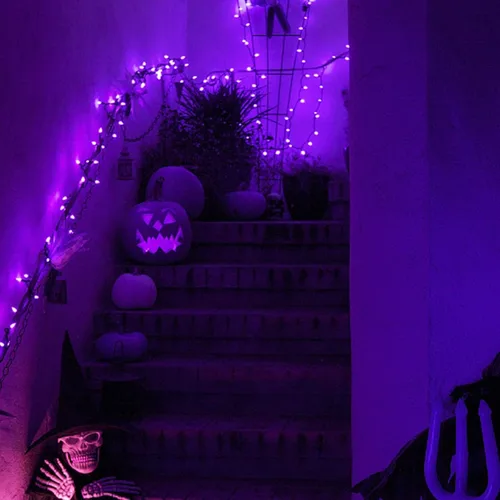 Miniatura 4 de JMEXSUSS Luces solares de Halloween moradas (cadena de luces solares y luces de hadas solares)