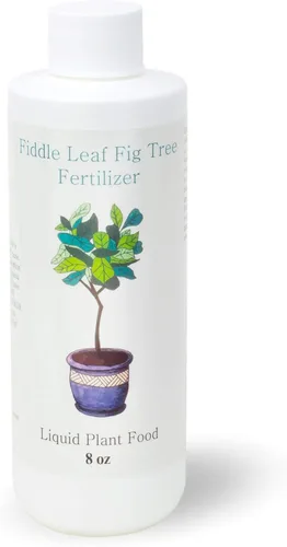 Fertilizante de higuera de hoja de violín | Alimento para plantas Ficus | Mejora las hojas y ramas | Tratamiento de árboles de interior en maceta y