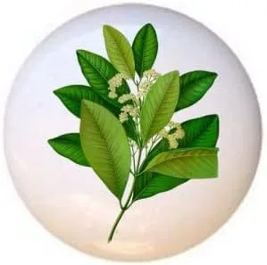Hierbas Especias Cocina Cocina Cocinar Hornear Hornear Decorativo Cerámica Cajón Tiradores Armario Perillas (pimienta de Jamaica)