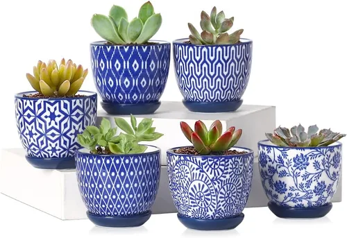 Miniatura 11 de Selamica Macetas de cerámica para suculentas de 2.4 pulgadas, mini macetas para plantas de cactus con agujeros de drenaje y platillos, decoración
