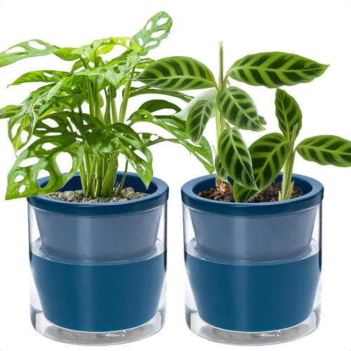 Miniatura 11 de D'vine Dev Maceta de Diseño de Riego Automático de 4 Pulgadas para Plantas de Interior, Maceta de Terracota Azul con Vaso Cilíndrico de Vidrio