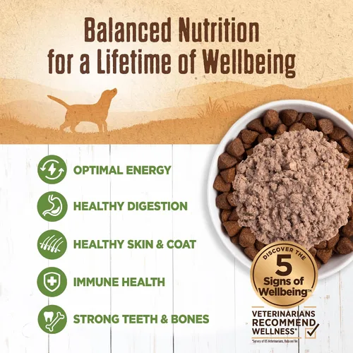 Miniatura 3 de Alimento húmedo Wellness enlatado para perros, sin granos, 95% natural, lata de 13.2 onzas (paquete de 12), Púrpura