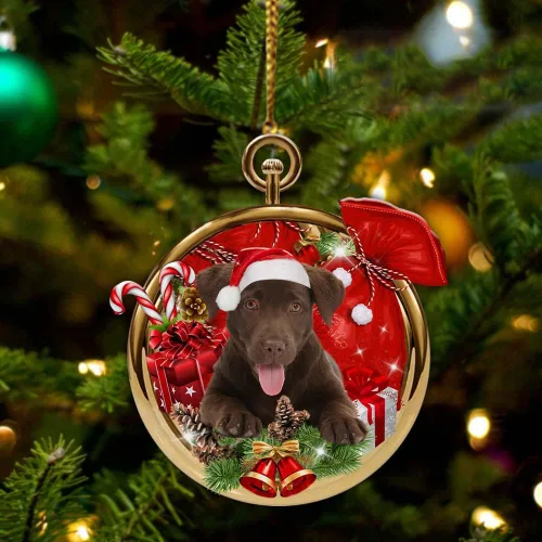 Miniatura 17 de Nazenti Adorno personalizado de bola de Navidad de pastor australiano – Adorno de perro personalizado para amantes de las mascotas, colgante