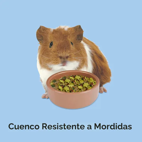 Miniatura 3 de Cuenco de cerámica de gres para hámsteres Kaytee, marrón, 7.6 cm