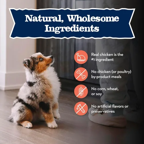 Miniatura 6 de Blue Buffalo Baby Blue - Alimento seco natural para cachorros de raza grande, fórmula de crecimiento saludable con DHA, receta de pollo y arroz