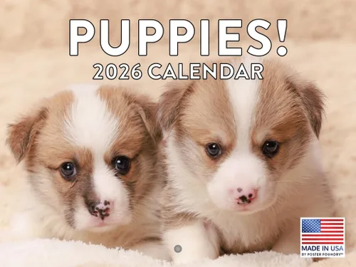 Miniatura 177 de Calendario de pared mensual 2025 Great Dane de 12 meses, fabricado en Estados Unidos