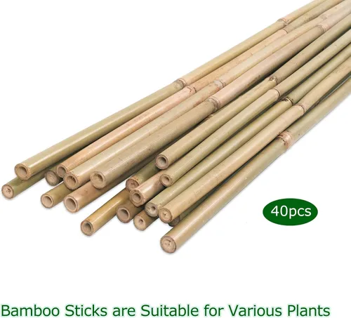 Miniatura 5 de Cambaverd 40 piezas de palos de bambú natural para plantas de interior y exterior, estacas de soporte de 16 pulgadas para tomate, frijoles, plantas