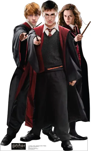 Cardboard People Harry, Hermione & Ron in Robes - Soporte de cartón de tamaño real - Harry Potter y la Orden del Fénix