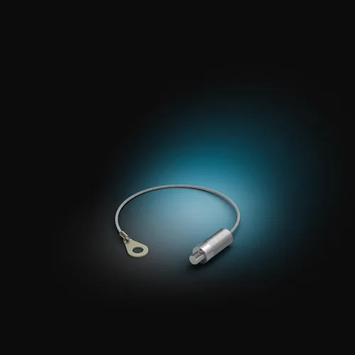 Miniatura 2 de Philips Hue Cable anticaída para cámara segura, plateado, paquete de 1, hecho para uso en exteriores, se conecta a la unidad de fuente