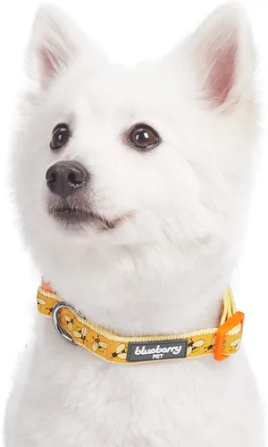 Miniatura 2 de Blueberry Pet 10+ Patrones Zoo Fun Collar de perro