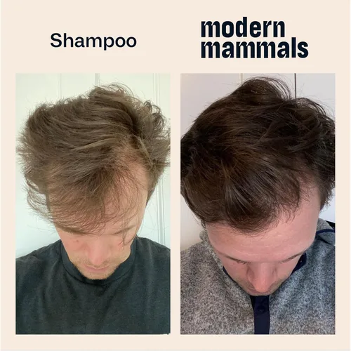 Miniatura 8 de Modern Mammals Barra de champú ligera – Cuidado minimalista del cabello, espuma baja, baja espuma, vegano, cuero cabelludo sensible, sin cacao, anti