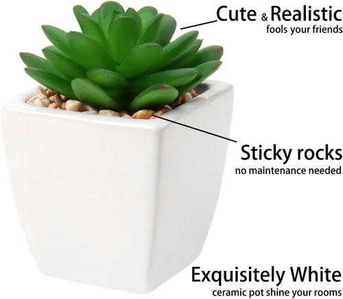 Miniatura 3 de Briful 3 suculentas falsas para decoración de bandejas escalonadas de granja, plantas artificiales más pequeñas, plantas artificiales en maceta, 3