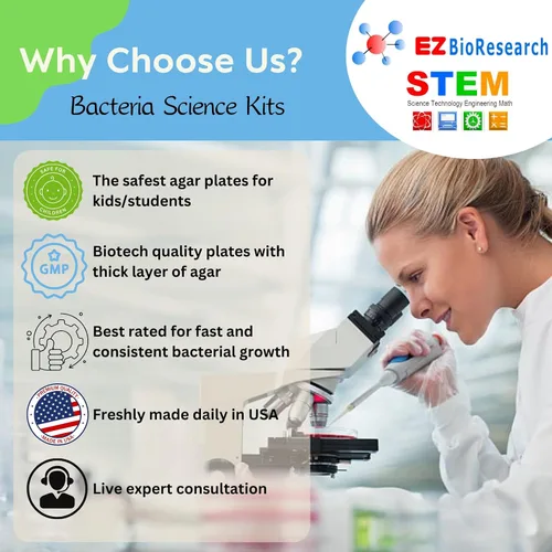Miniatura 5 de Kit de ciencias de bacterias EZ Bioresearch (IV): kit de proyecto de ciencias Placas de agar LB preparadas e hisopos de algodón Exclusivo libro