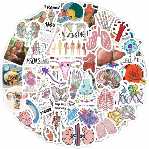 Miniatura 13 de BulbaCraft 100 piezas de pegatinas divertidas de asistente médico, regalos de asistente médico para mujeres y hombres, regalos para mujeres