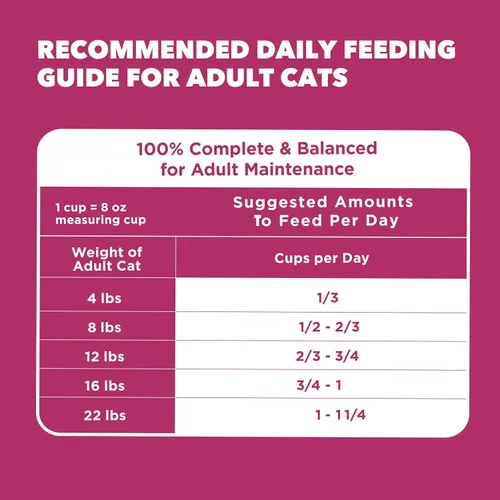 Miniatura 9 de IAMS PROACTIVE HEALTH - Alimento seco para gatos con pollo, para salud del tracto urinario para adultos, bolsa de 7 libras