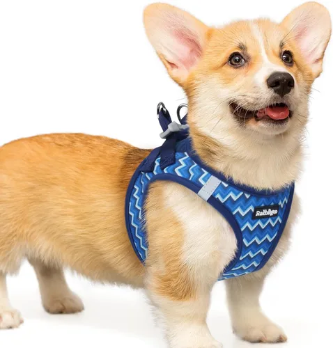 Miniatura 74 de rabbitgoo Arnés para perro pequeño, chaleco de malla suave para cachorros con hebilla de seguridad, arnés reflectante transpirable para mascotas