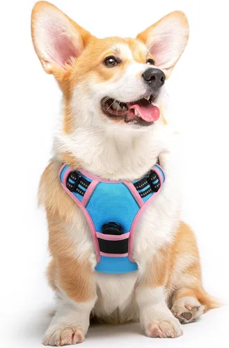 Miniatura 21 de Eagloo Arnés para perro pequeño, sin tirones, chaleco de servicio con tiras reflectantes y asa de control, ajustable y cómodo para caminar, arnés