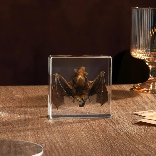 Miniatura 5 de Murciélago de taxidermia, especímenes de murciélago reales en resina para educación científica en el aula, gran regalo para fanáticos