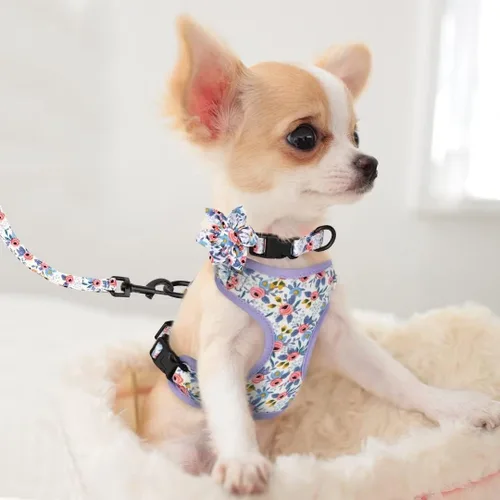 Miniatura 5 de Beirui Lindo juego de collares, arneses y correas para perro hembra, juego de collar y correa ajustable con flor - Arnés de malla suave para Azul
