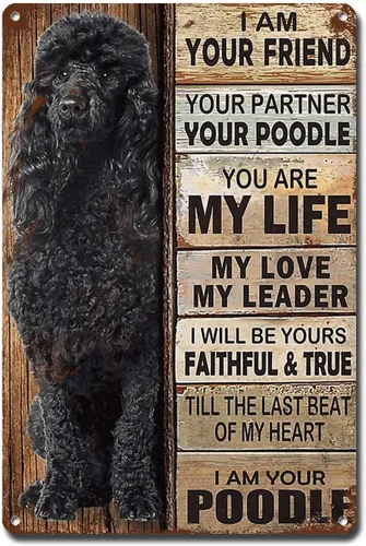 Miniatura 16 de Letrero de Metal Letrero de Hojalata Arte de Pared Vintage I Am Your Friend Regalo para Amantes de Schnauzer Arte de Pared Vintage Impresiones