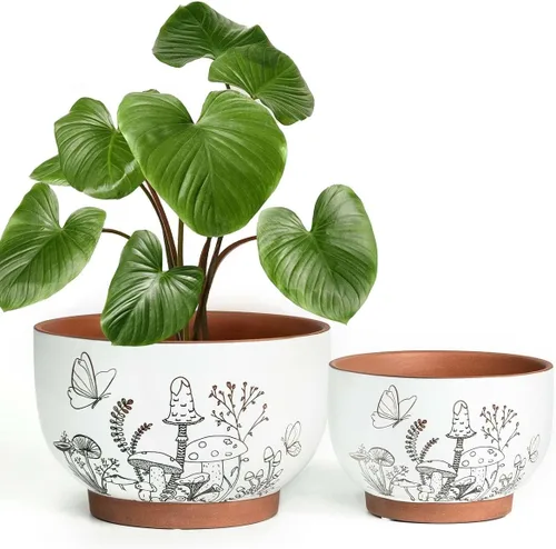 Miniatura 23 de Macetas de terracota con orificios de drenaje con decoración de abejas, macetas de cerámica para plantas de interior y exterior, suculentas