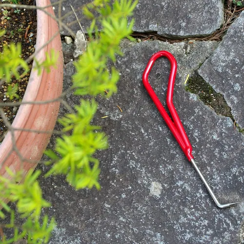 Miniatura 3 de KAKURI Gancho de raíz de bonsái, herramienta profesional de 8.6 pulgadas, acero inoxidable japonés, rojo, fabricado en Japón