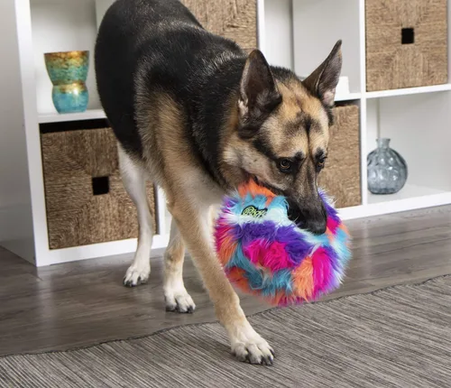 Miniatura 8 de goDog Furballz - Bola de peluche chirriante para perro, tecnología Chew Guard, color arcoíris genial, grande Furballz (arco iris fresco)