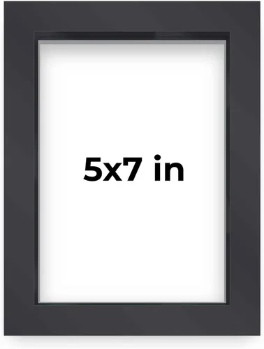Miniatura 124 de Marco contemporáneo de caja de sombra negra de 14 x 25 pulgadas, profundidad de espacio utilizable, tamaño interior 14 x 25 o 25 x 14 pulgadas