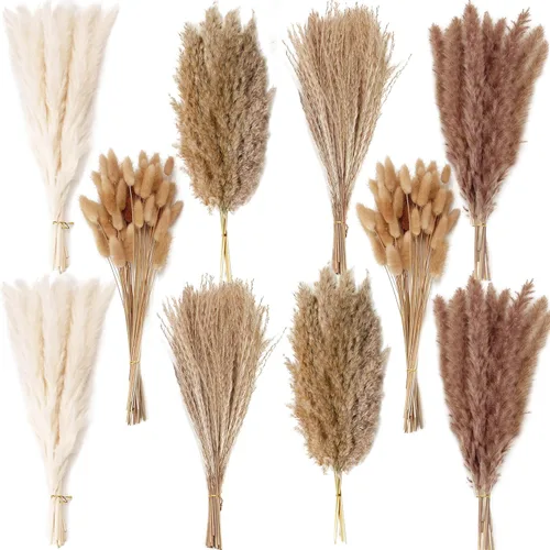 Miniatura 19 de Decoración de hierba de pampa seca natural, 100 piezas de hierba de pampa que contiene colas de conejo blancas flores secas, ramo de hierba de caña