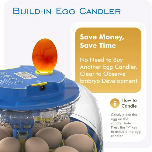 Miniatura 4 de OtterVerz 11 Incubadoras de huevos para incubar 18-36 huevos de pollo, codorniz/pavo, incubadora de aves de corral con visión de 360° con giro